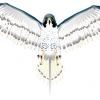 falcon-_ps