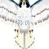 falcondetail-_ps