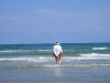 imgp0464.jpg